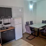 Apartment Lion *