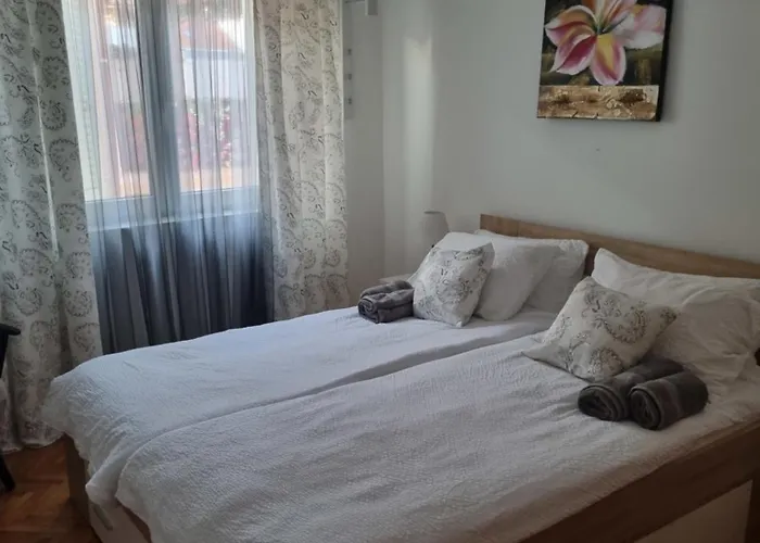 Lion * Βόντιτσε